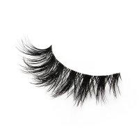 manga lashes cat eye style 
