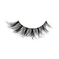 Dramatic style Wispy Lashes strip