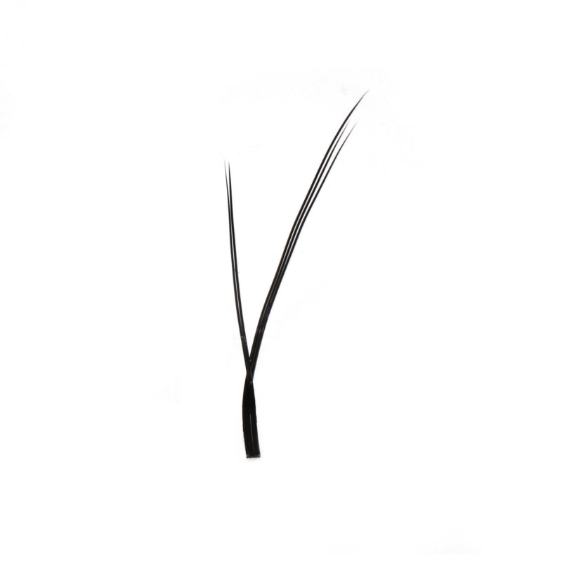 PBT fiber foxy yy lashes fan