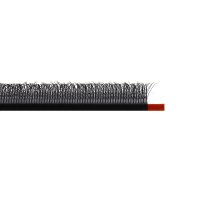 wispy w clover lashes