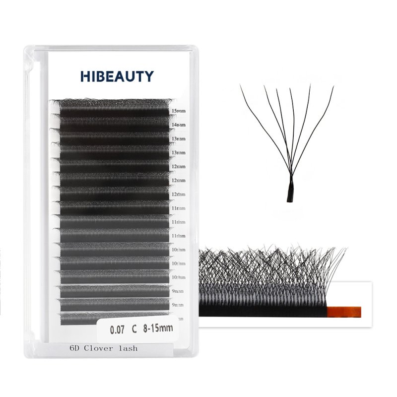 6D w lashes extension