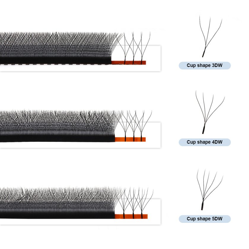 Cup Shape W lashes