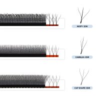 W lashes vs wispy w lashes vs camellia w lashes