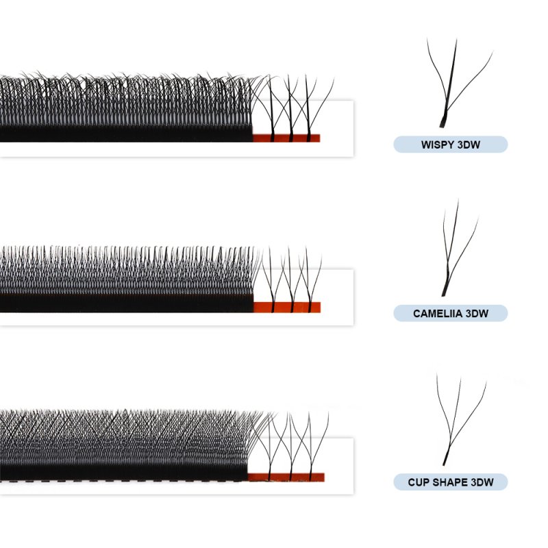 W lashes vs wispy w lashes vs camellia w lashes