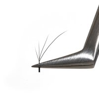 4D foxy w lashes fan