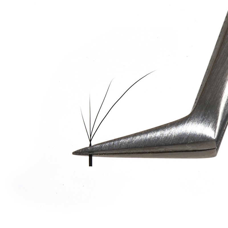 4D foxy w lashes fan