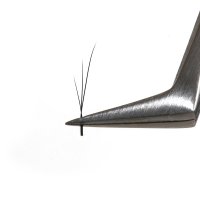 3D foxy w lashes fan