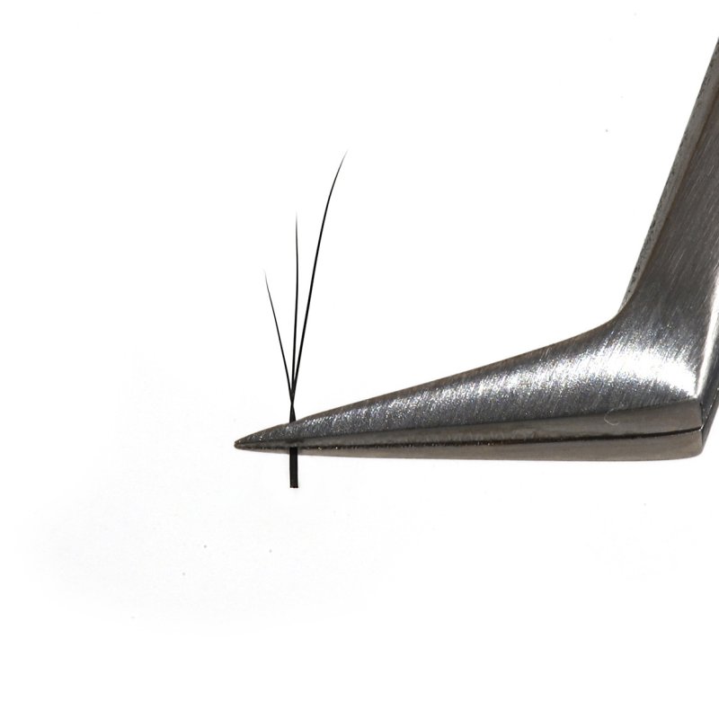 3D foxy w lashes fan