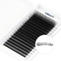 5D w lashes extension