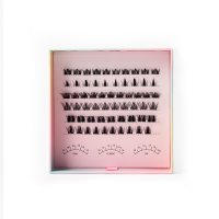 faux mink anime cluster lash extension