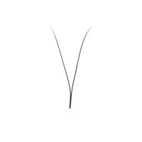 2d premade wide fans lashes