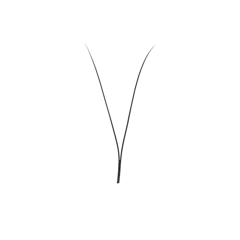 2d premade wide fans lashes