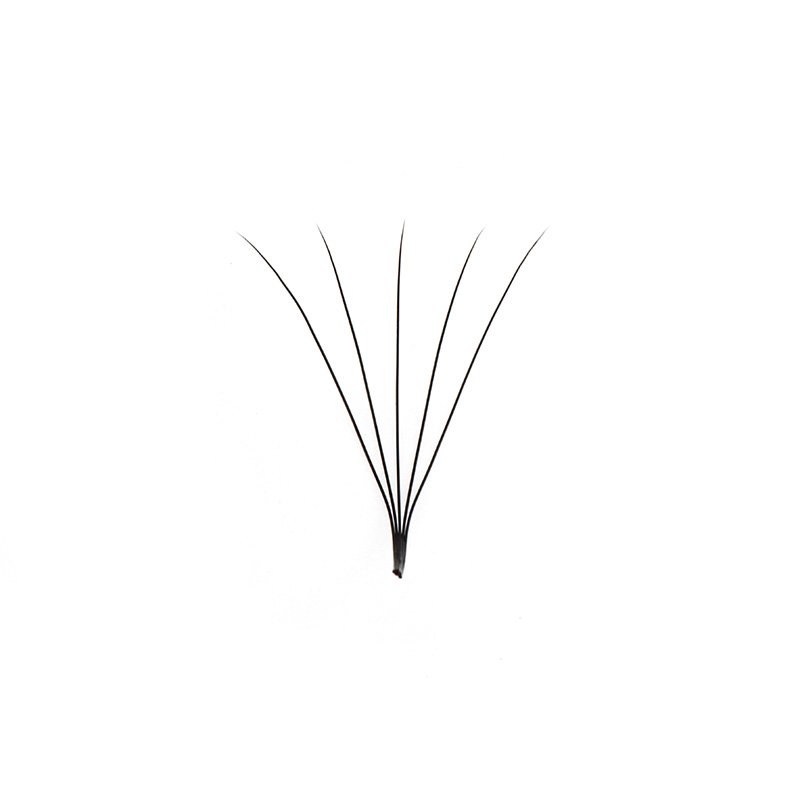 5d premade wide fans lashes