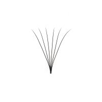 6d premade wide fans lashes