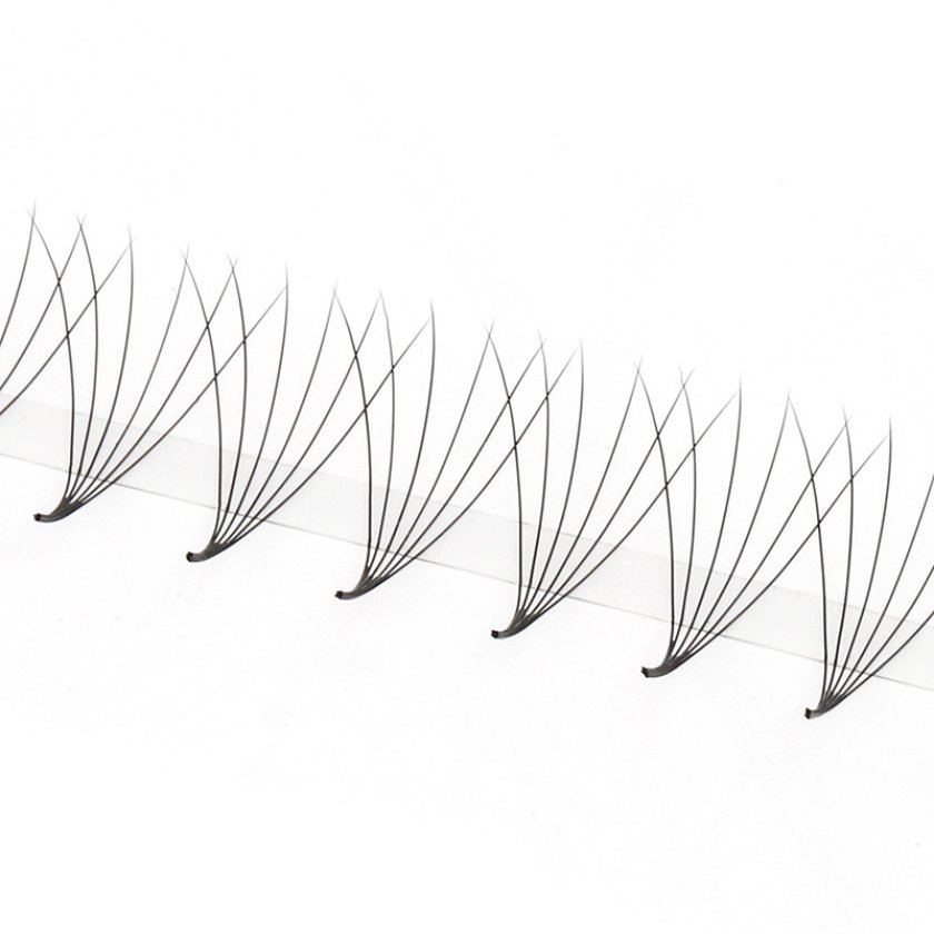 6D Premade Wide Fans