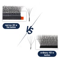 Narrow vs wide 4D W Lashes