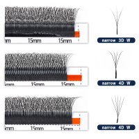 narrow 3d vs 4d vs 5d lashes