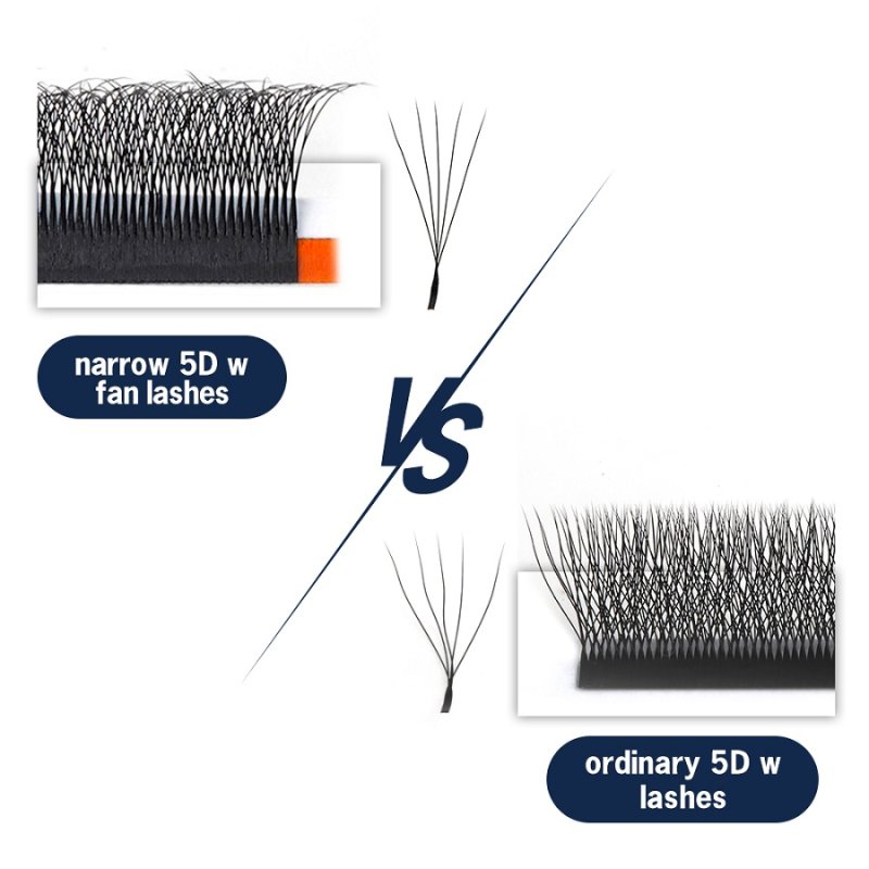 Narrow vs wide 5D W Lashes